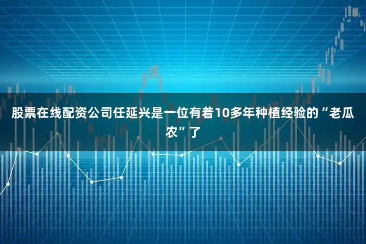 股票在线配资公司任延兴是一位有着10多年种植经验的“老瓜农”了