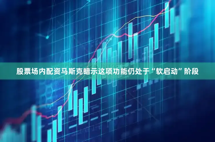 股票场内配资马斯克暗示这项功能仍处于“软启动”阶段